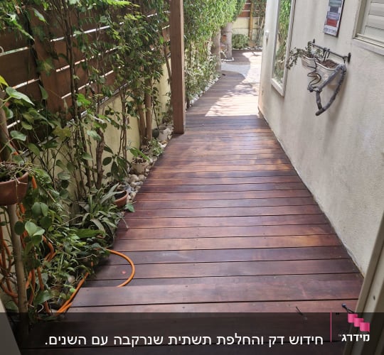 שביל עץ עם צמחייה ירוקה משני הצדדים